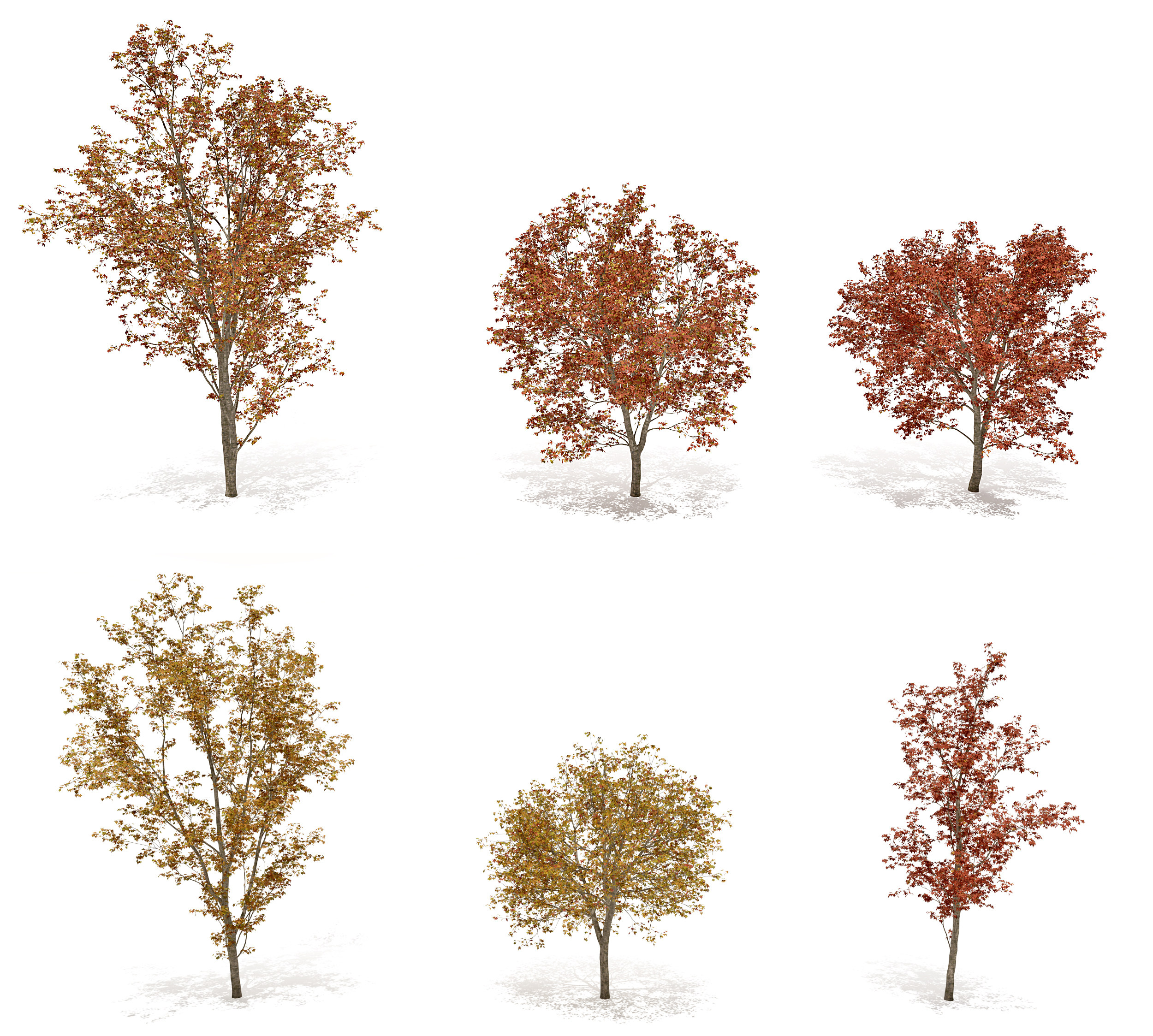 现代秋季景观树3d模型下载