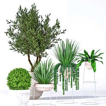 现代绿植盆栽，花盆3d模型下载