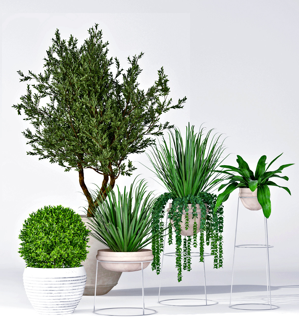 现代绿植盆栽，花盆3d模型下载