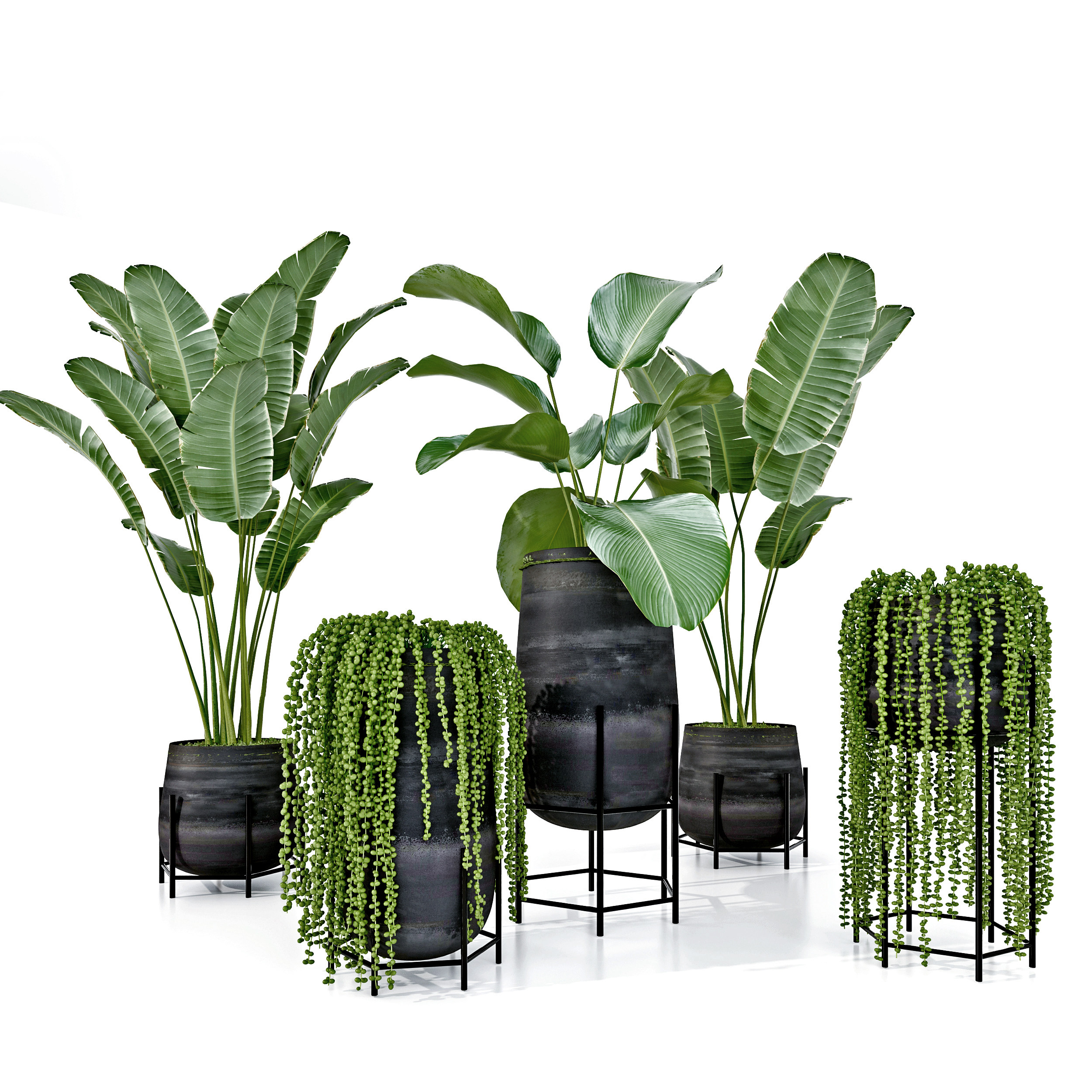现代芭蕉绿植盆栽，花盆3d模型下载
