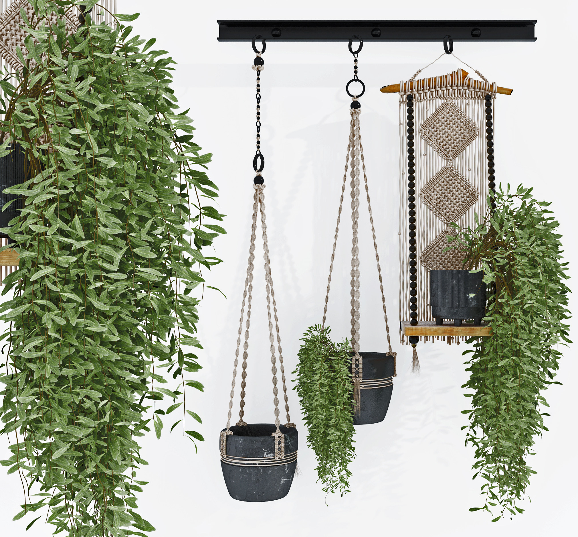 现代悬挂绿植盆栽，吊篮，3d模型下载