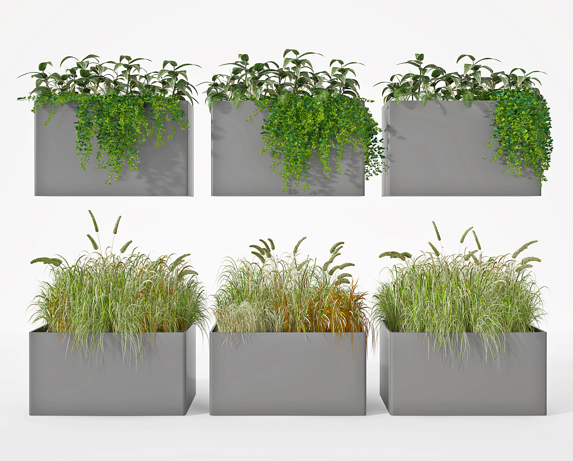 现代绿植盆栽，花池花槽芦苇草3d模型下载