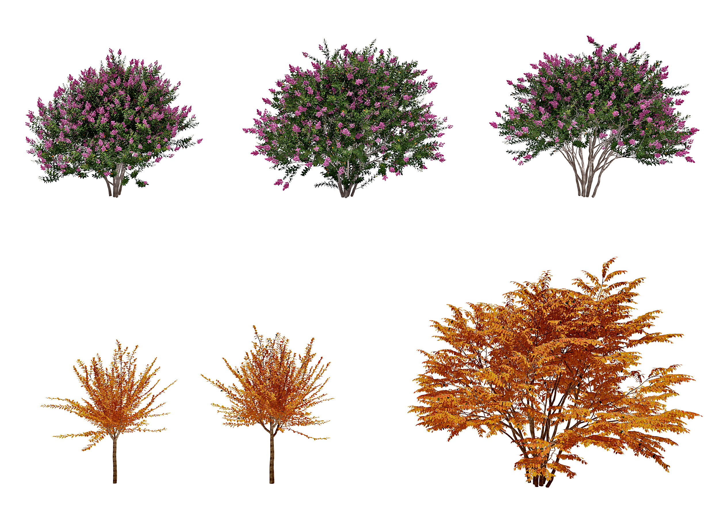 现代户外景观树3d模型下载