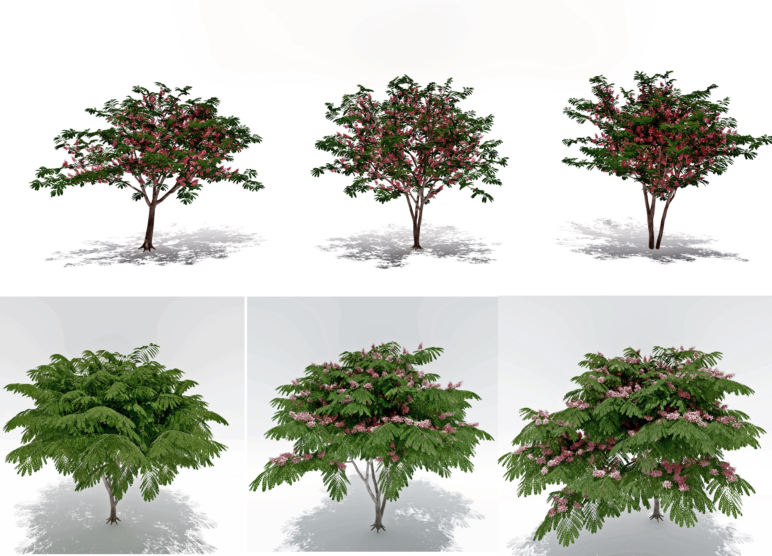 现代户外景观树3d模型下载