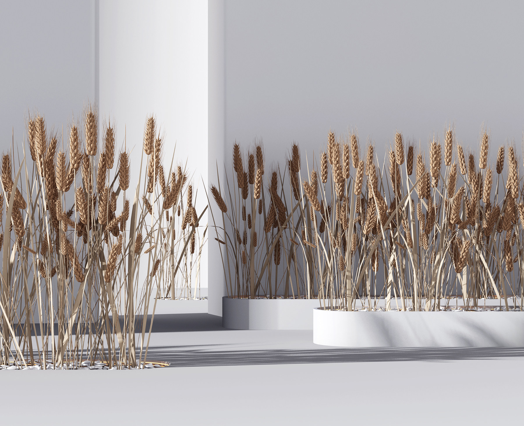 现代仿真麦穗，盆景3d模型下载