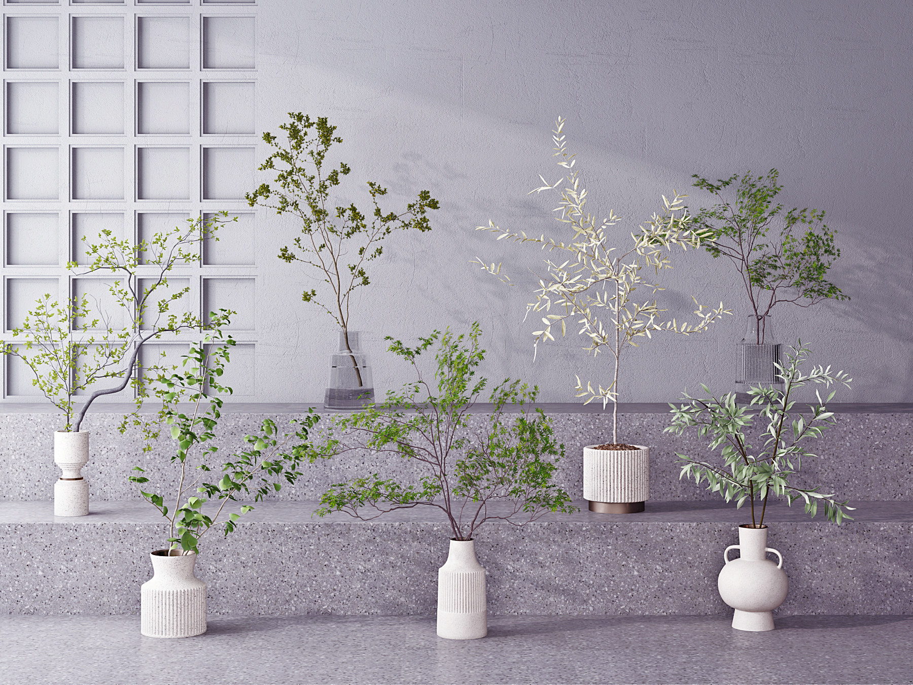 现代橄榄树五角槭盆栽3d模型下载