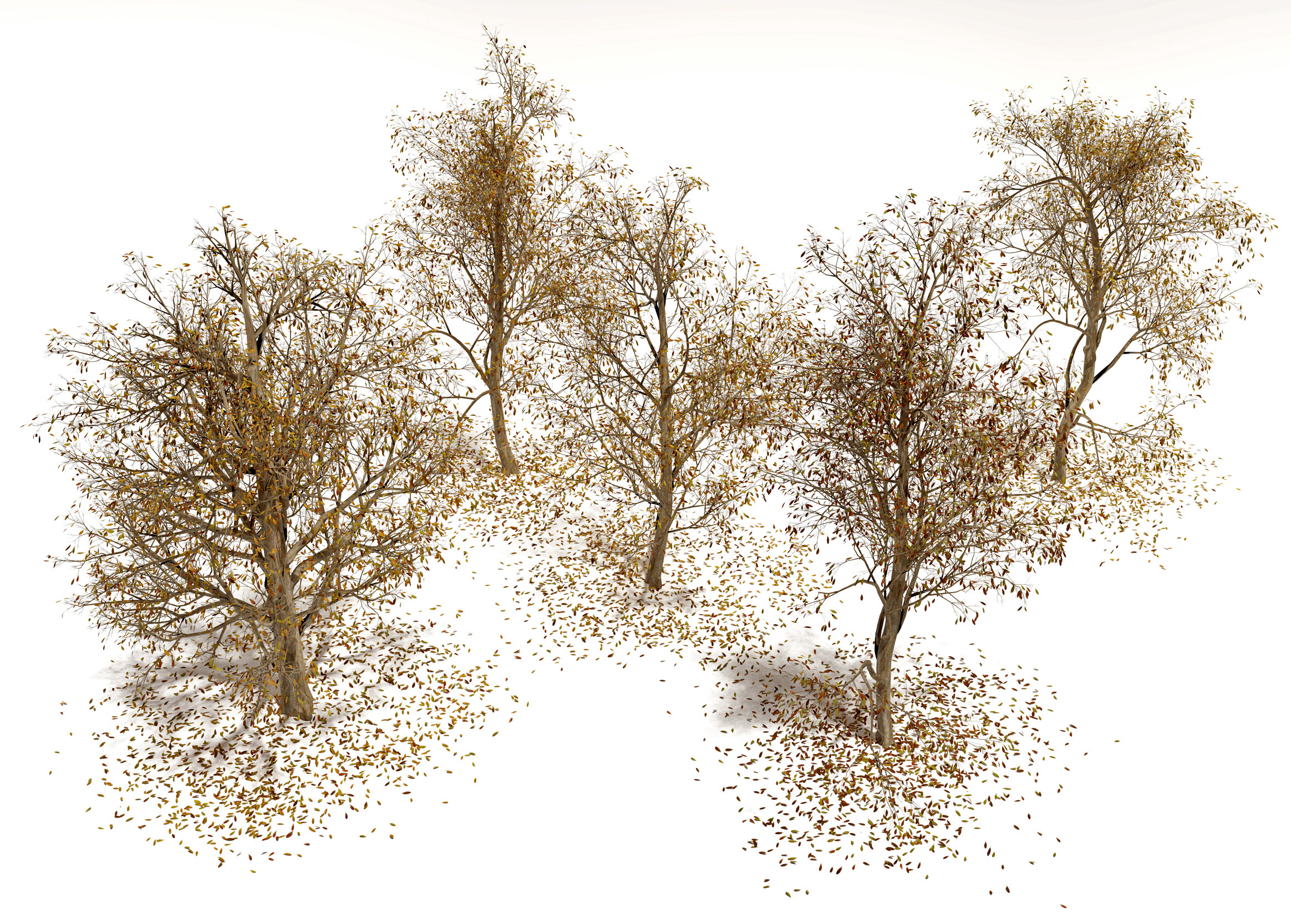 现代景观树枯树3d模型下载