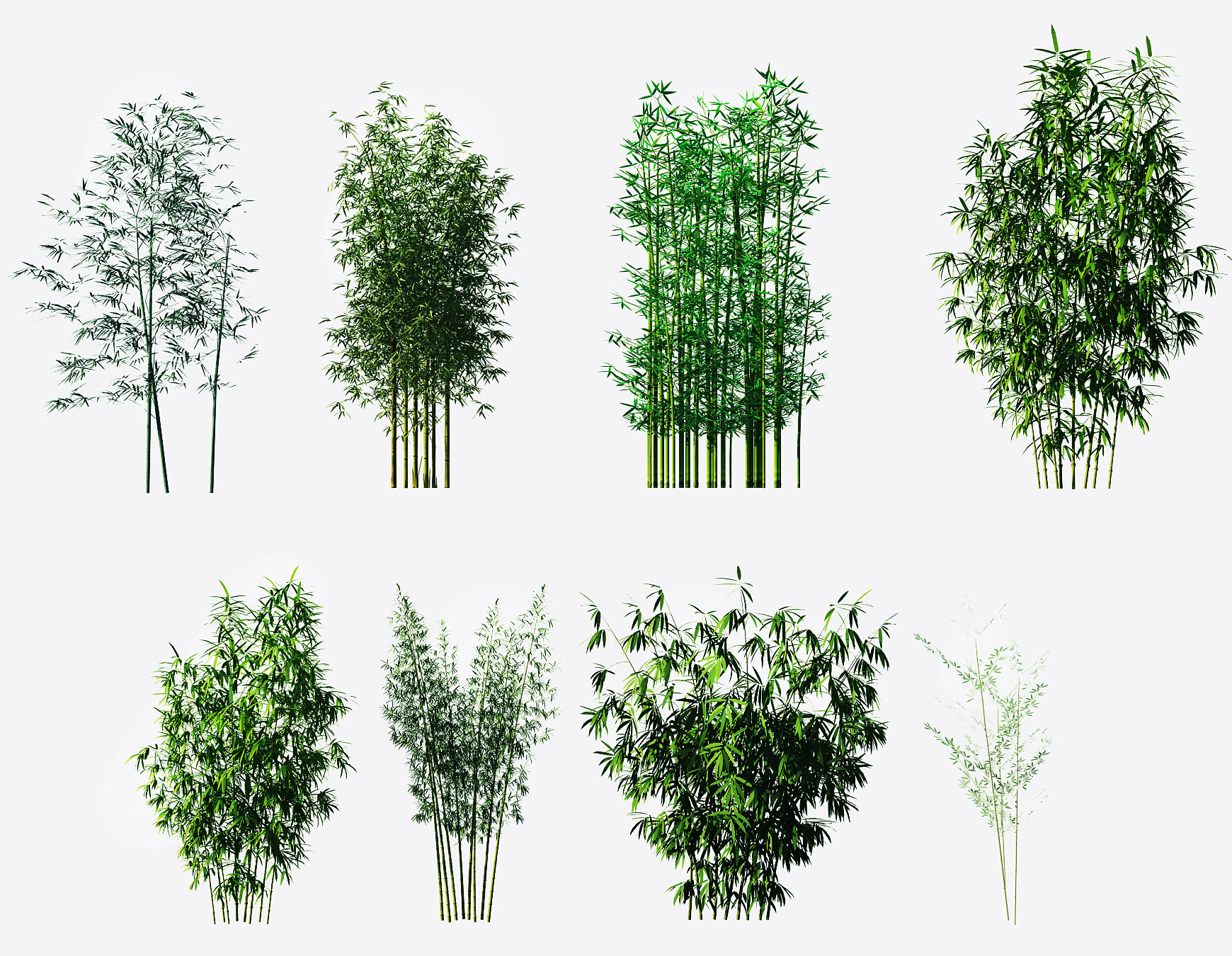 现代绿植竹子,竹林su草图模型下载