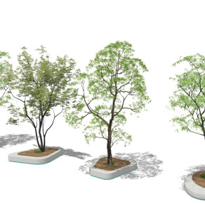 新中式景观小品 树池 乔木 景观树su草图模型下载