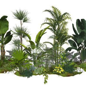 现代植物 绿植 室外灌木，大叶植物绿植，芭蕉叶su草图模型下载