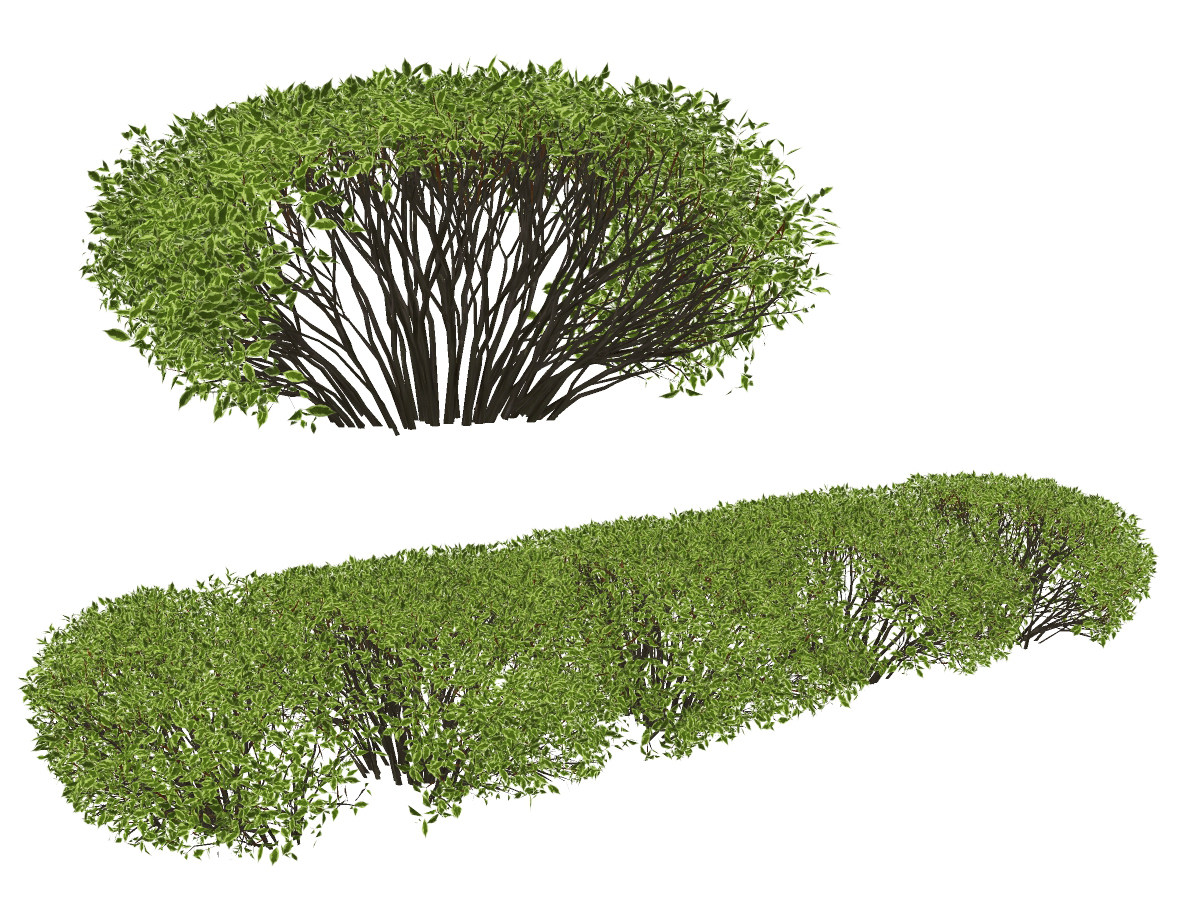 现代绿篱灌木su草图模型下载