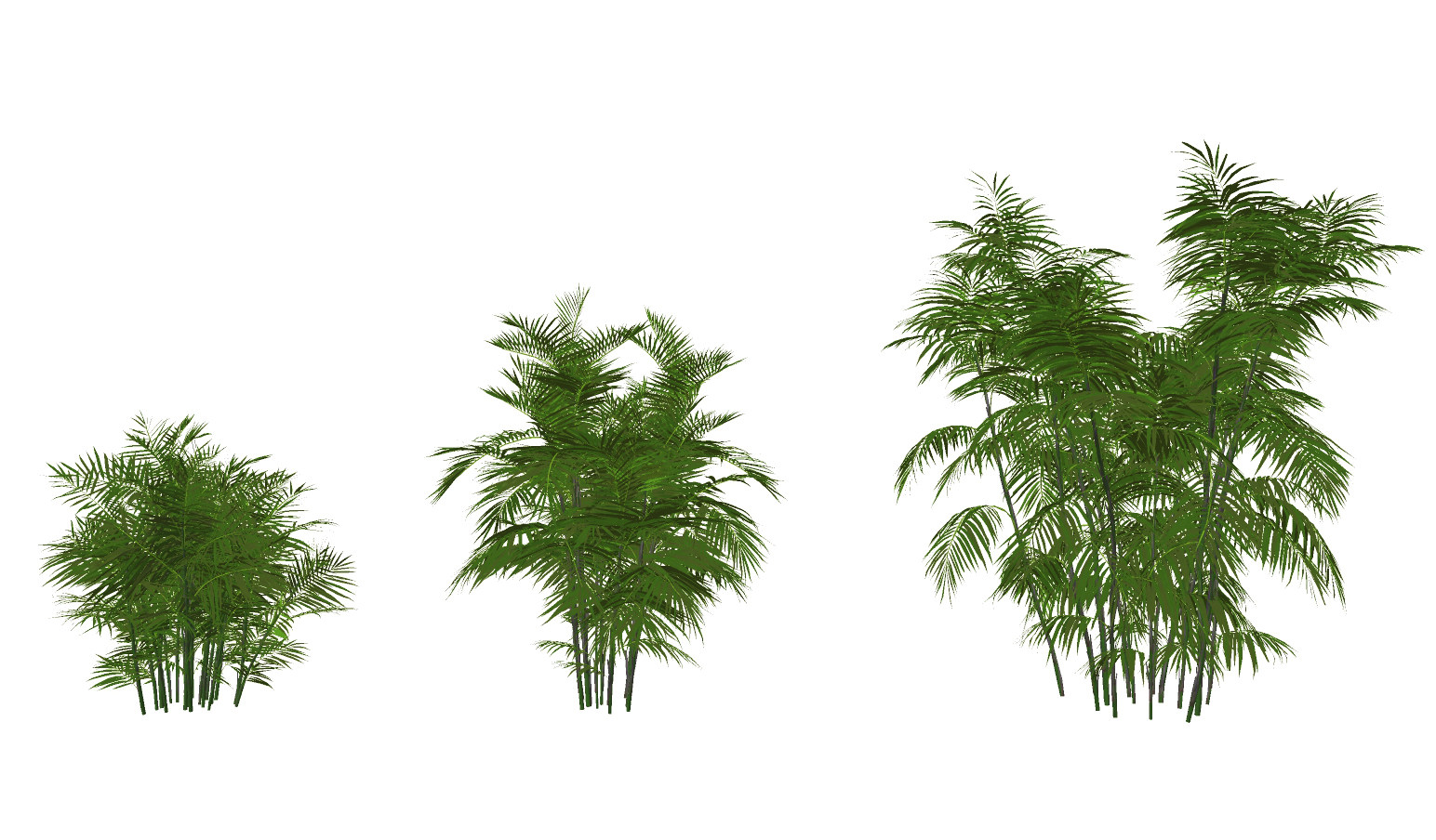 现代竹节，竹子，树,su草图模型下载