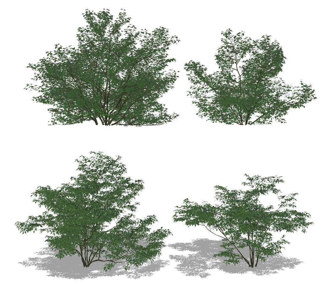 现代绿植灌木,矮树su草图模型下载