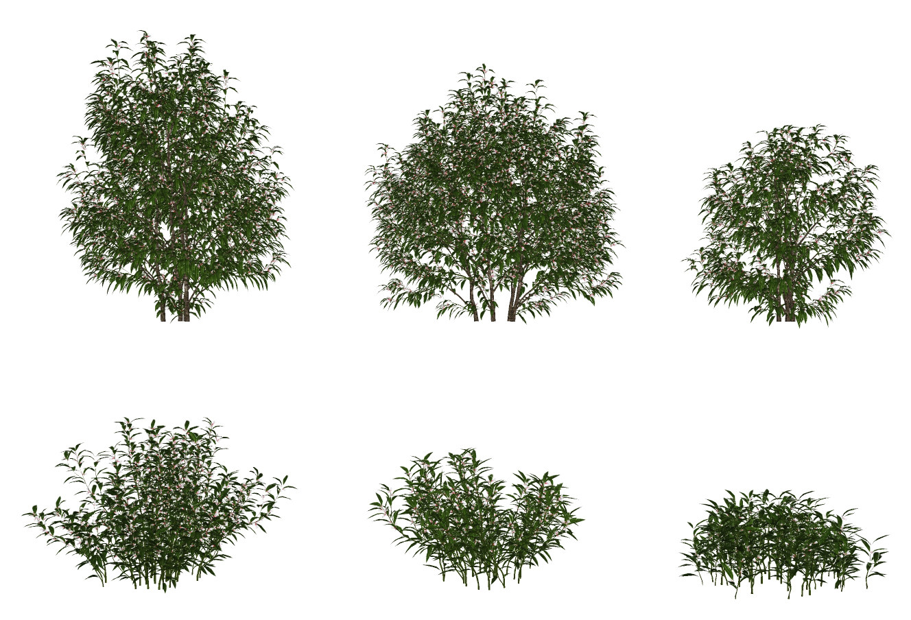 现代绿植灌木丛su草图模型下载
