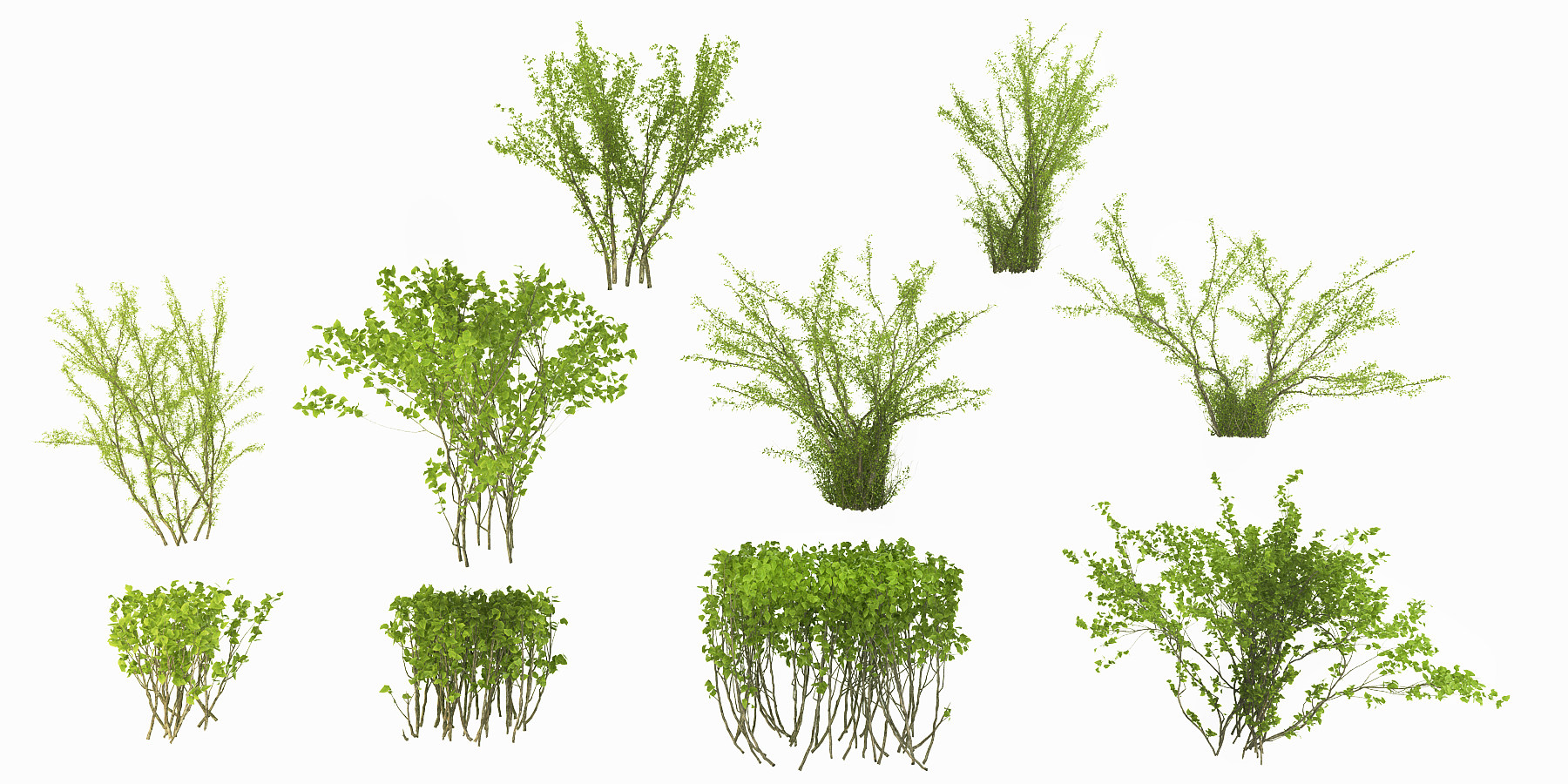 现代绿化灌木su草图模型下载
