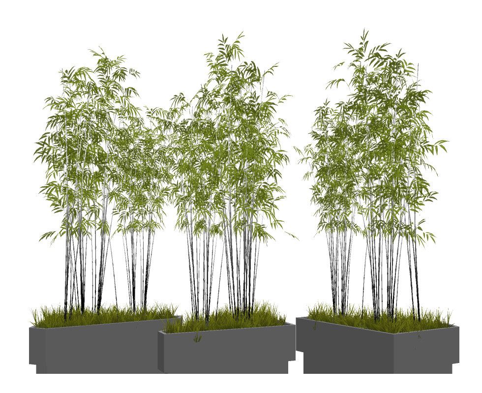 现代竹子盆栽,树池su草图模型下载