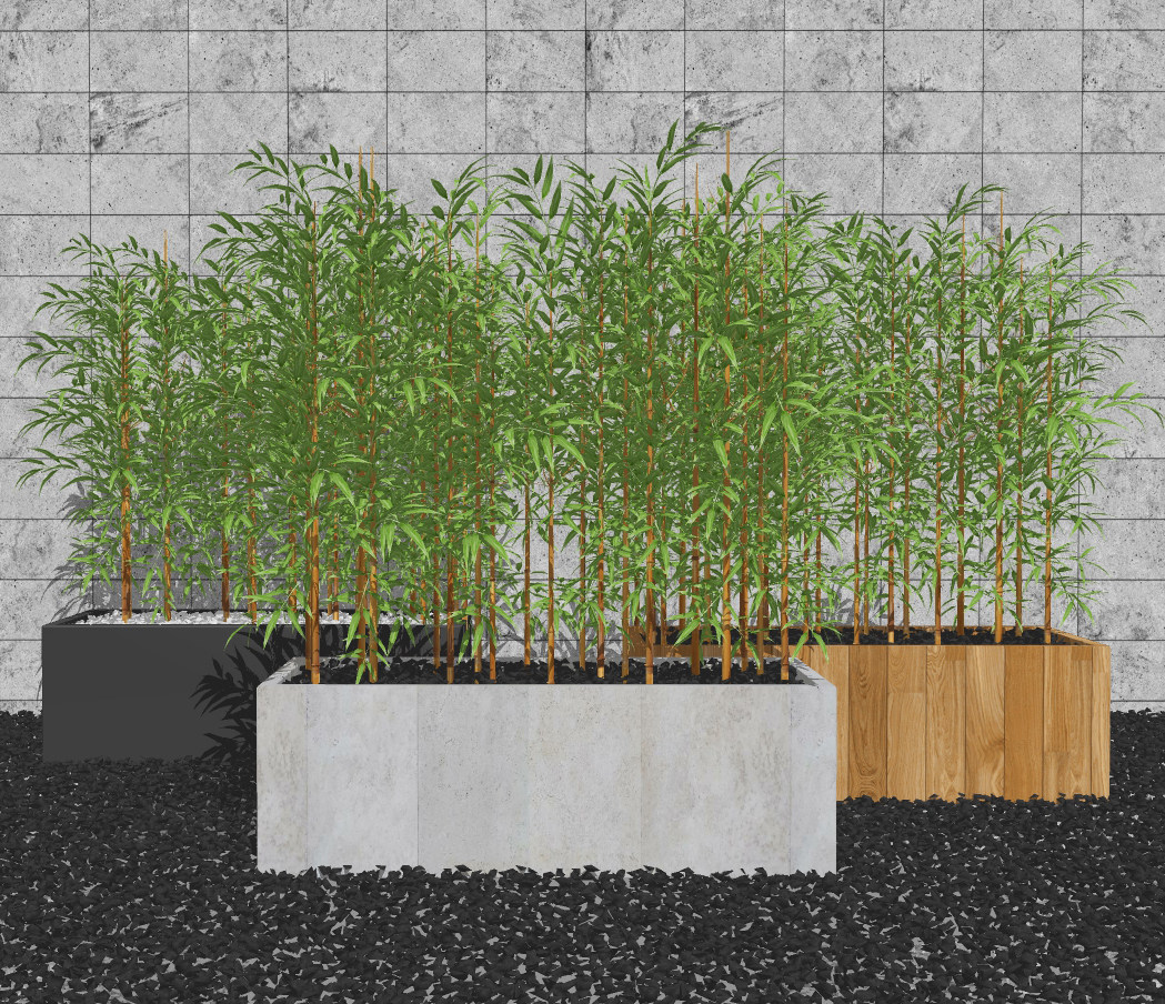 现代室外竹子盆栽su草图模型下载