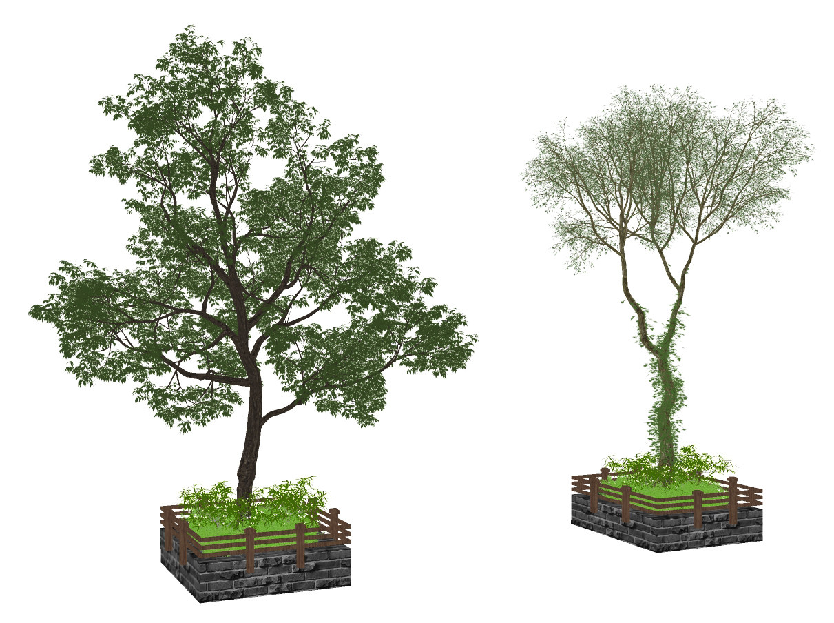 树，树池,su草图模型下载