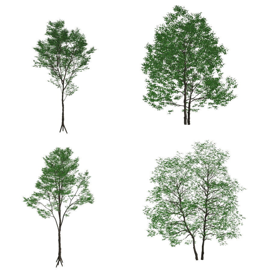 现代景观树su草图模型下载