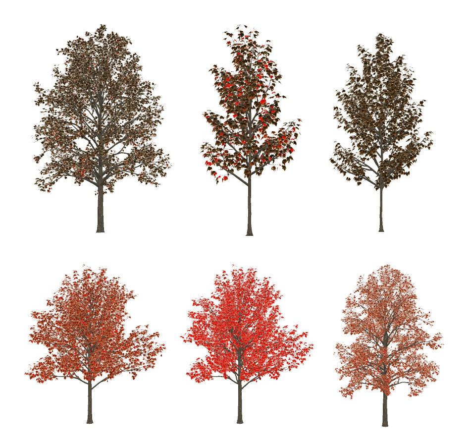现代秋季树su草图模型下载