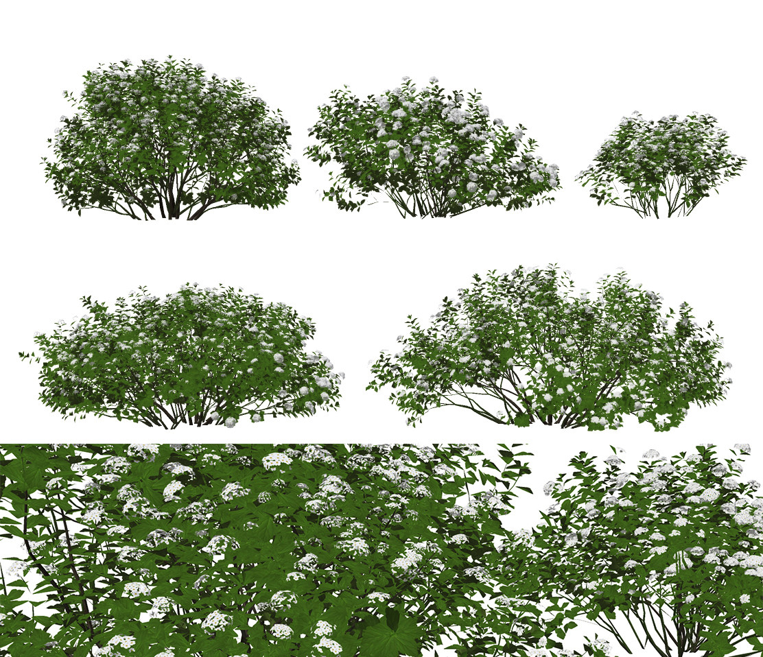 现代绿植灌木su草图模型下载