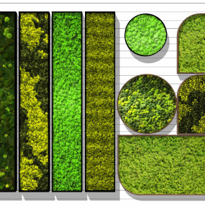 现代苔藓植物墙，绿植墙