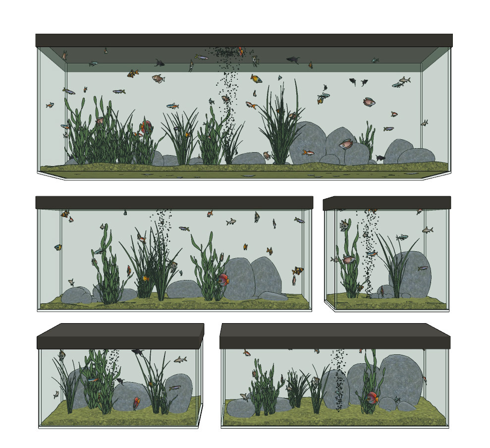 现代玻璃鱼缸水族su草图模型下载