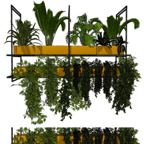 金属盒室内悬挂，吊装藤蔓植物 ,绿植su草图模型下载