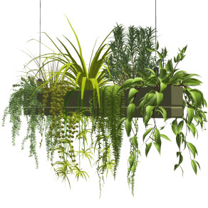 现代吊篮绿植,植物,盆景su草图模型下载