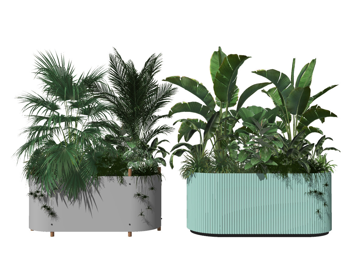 现代盆栽，花池，花槽，花箱大叶绿植植物su草图模型下载