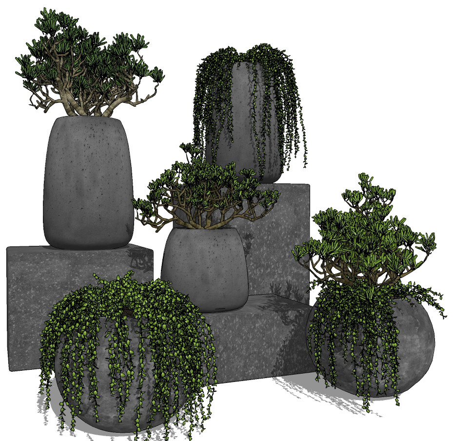 混凝土花盆植物，绿植，盆栽组合su草图模型下载