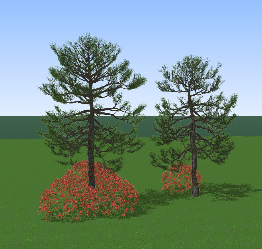 现代松树,户外树, su草图模型下载
