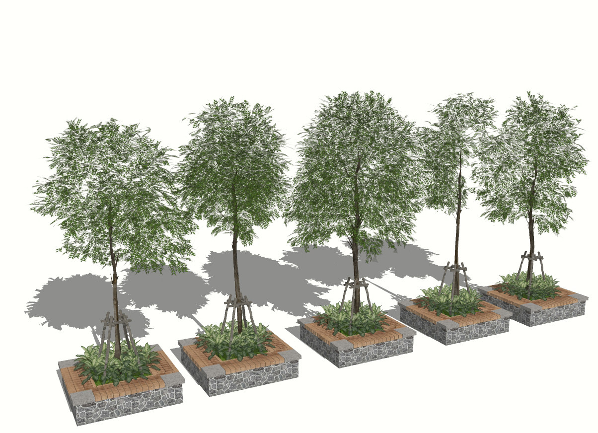 12现代树池景观树，树池行道树2su草图模型下载