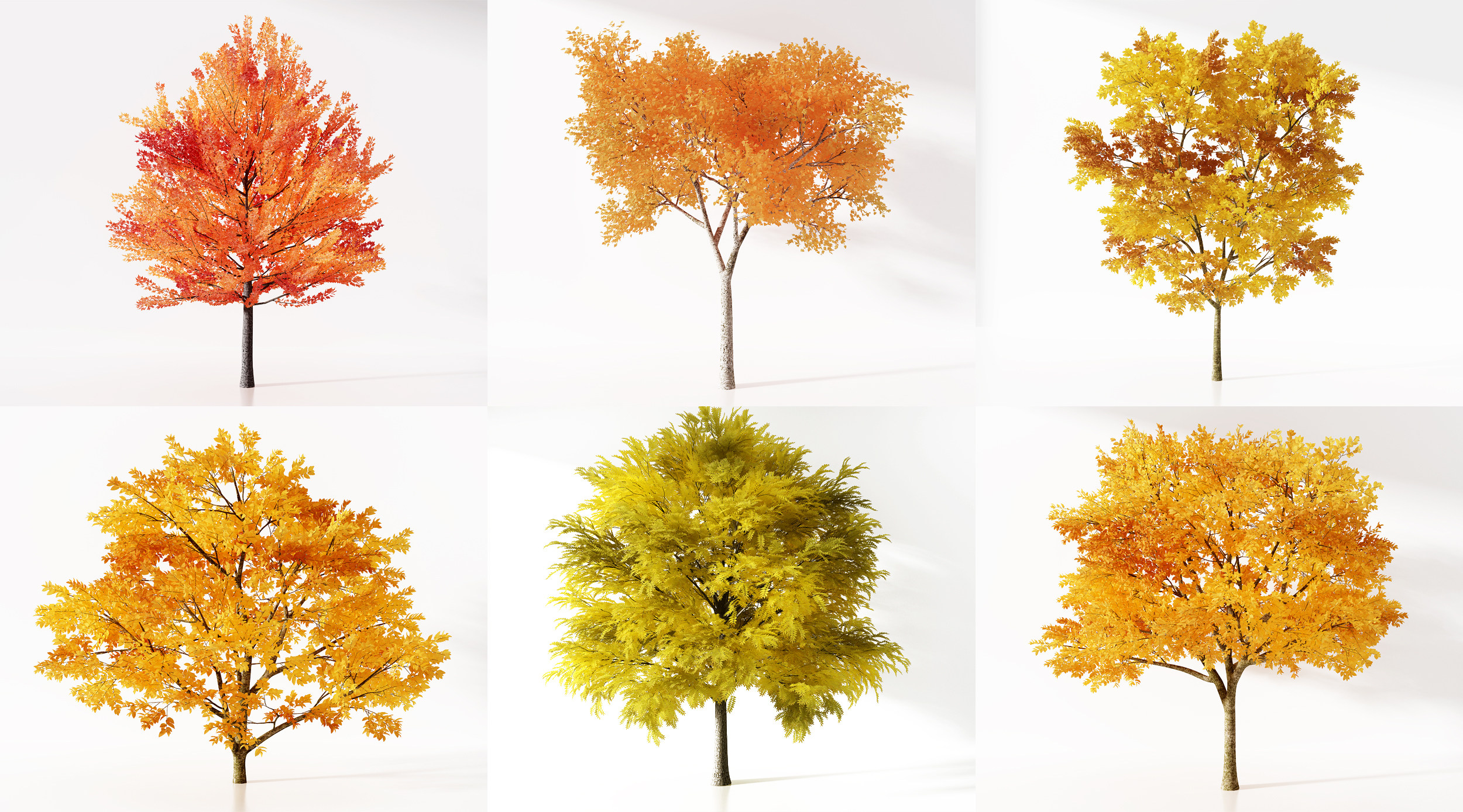 树 秋季树木su草图模型下载