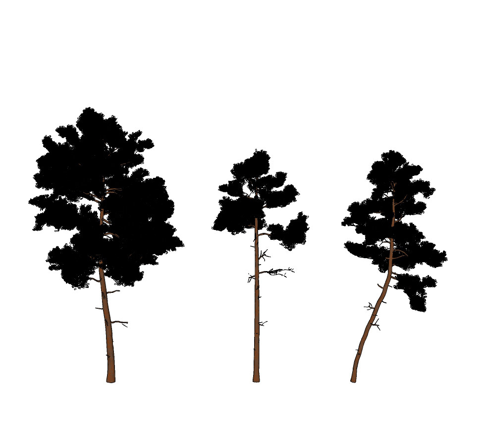 松树植物模型su草图模型下载