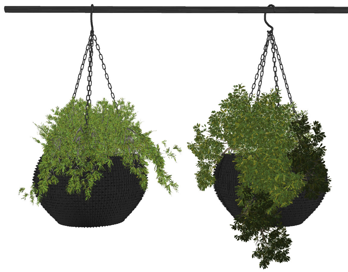 现代悬挂花盆植物盆栽，吊装植物su草图模型下载