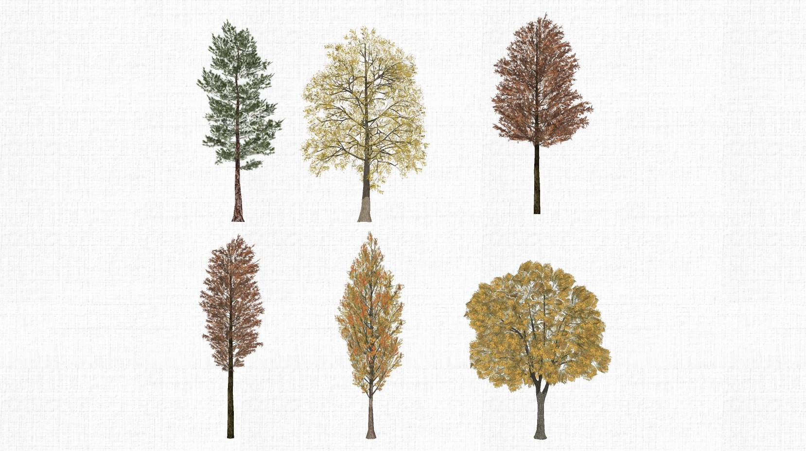 园林景观植物秋天树su草图模型下载