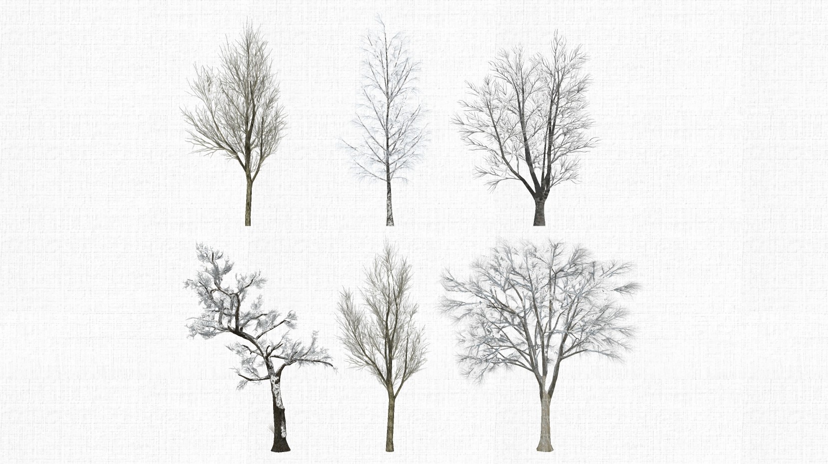 园林景观植物冬天树su草图模型下载