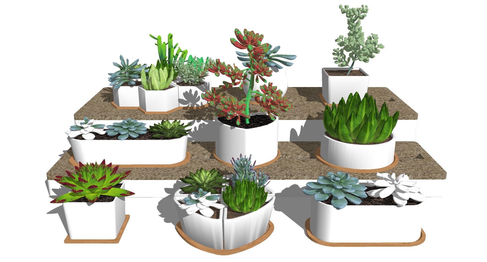 12多肉植物花盆阳台植物su草图模型下载