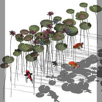 018荷花荷叶金鱼su草图模型下载
