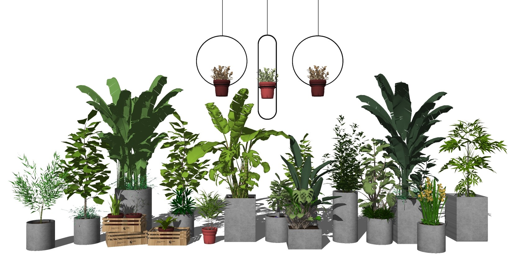 5现代绿植,盆栽,花盆,植物花槽花箱吊装植物su草图模型下载