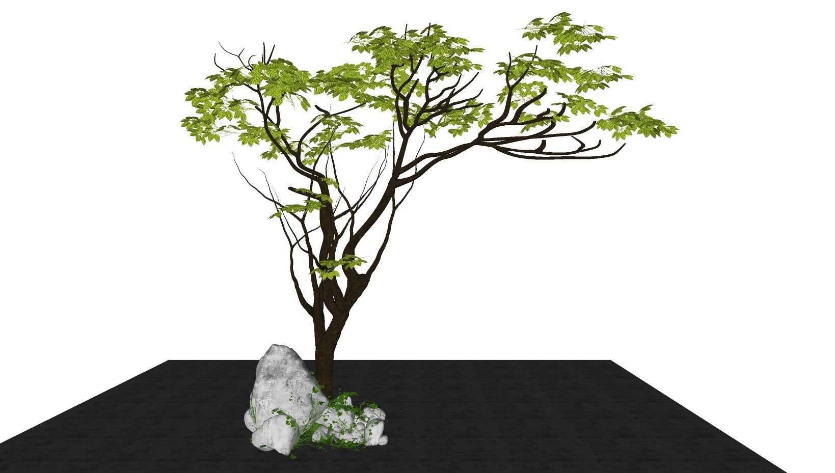 树sketchup草图模型下载 su草图模型下载