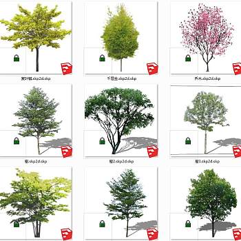 树sketchup草图模型下载 su草图模型下载