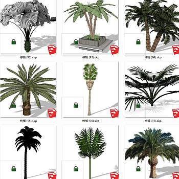 树sketchup草图模型下载 su草图模型下载