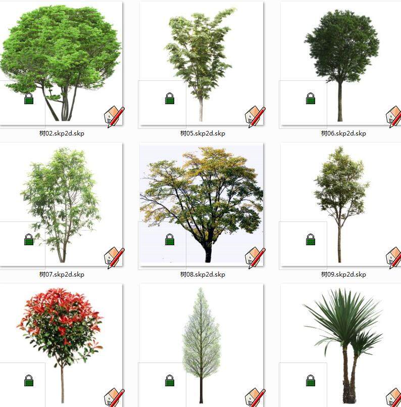 植物树 su草图模型下载