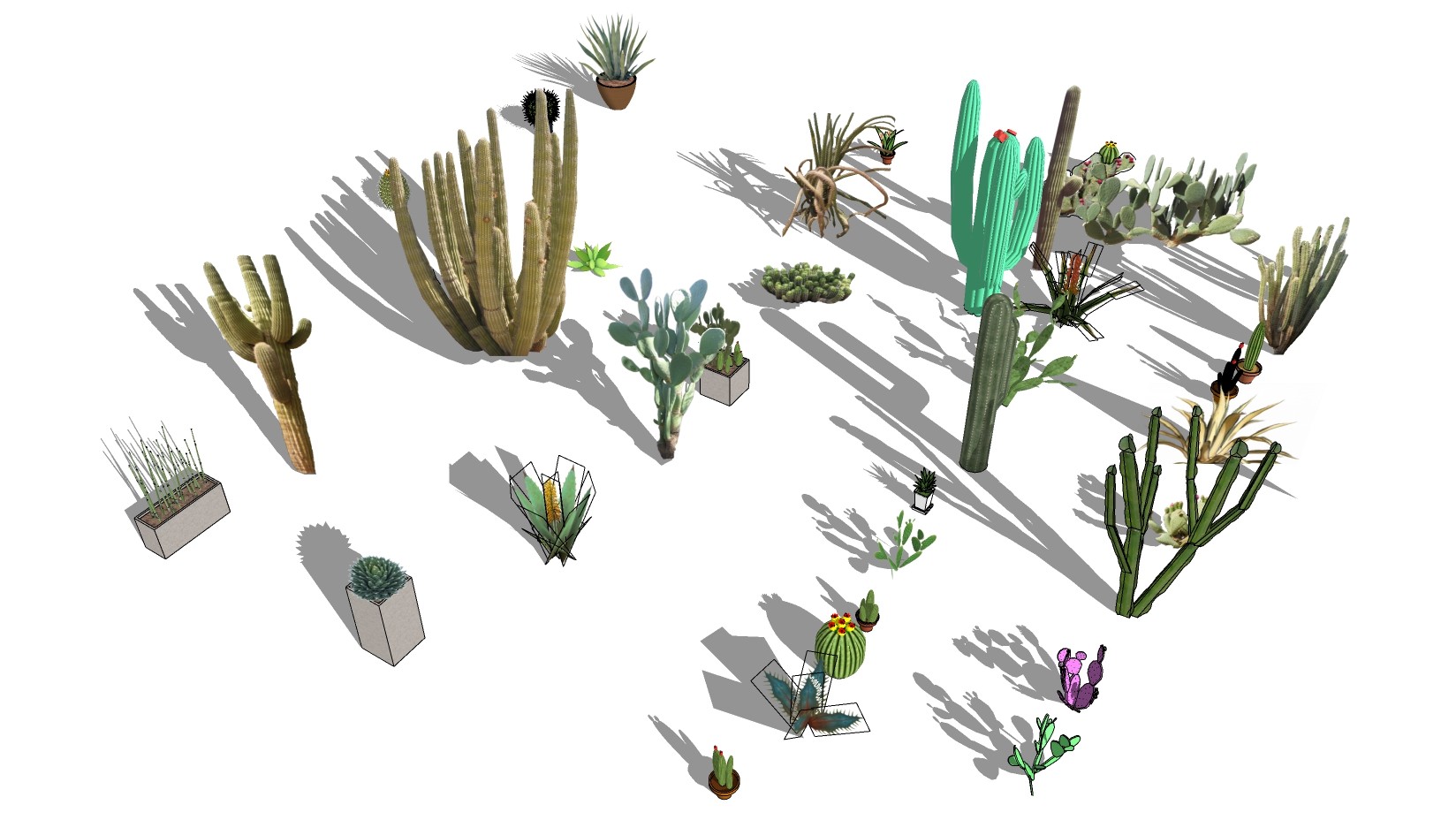 室外景观植物 su草图模型下载