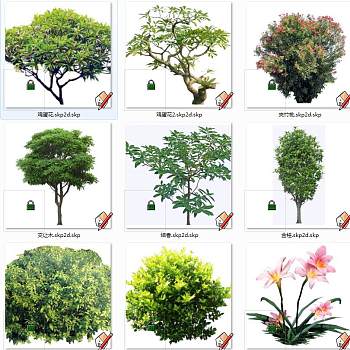 现代真实植物 su草图模型下载