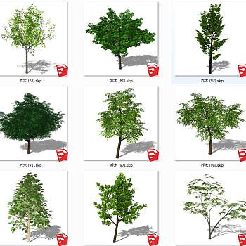 现代风格冬季景观树 su草图模型下载