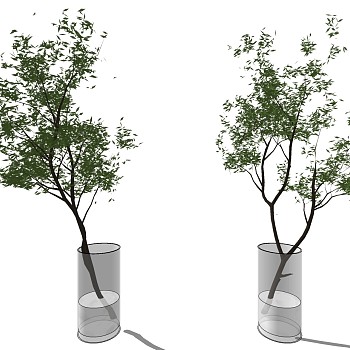 景观植物 装饰植物 盆栽 su草图模型下载