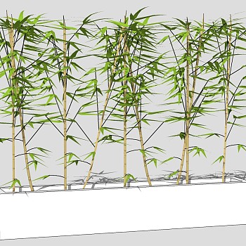 现代盆景 竹子植物 绿植 su草图模型下载